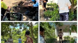 KOLABORASI DENGAN ZONA GRIYA ABHIPRAYA SOMBERE, BAPAS MAKASSAR AMBIL BIBIT CABAI UNTUK DUKUNG KETAHANAN PANGAN