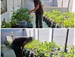 BENTUK KARAKTER KLIEN ANAK, BAPAS MAKASSAR LIBATKAN DALAM PENGELOLAAN KETAHANAN PANGAN