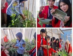 PESERTA MAGANG BAPAS MAKASSAR PANEN HASIL KETAHANAN PANGAN, WUJUD DUKUNGAN TERHADAP PROGRAM PEMERINTAH